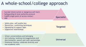 diagram showing levels to a whole school approach