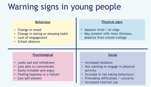 warning signs in young people